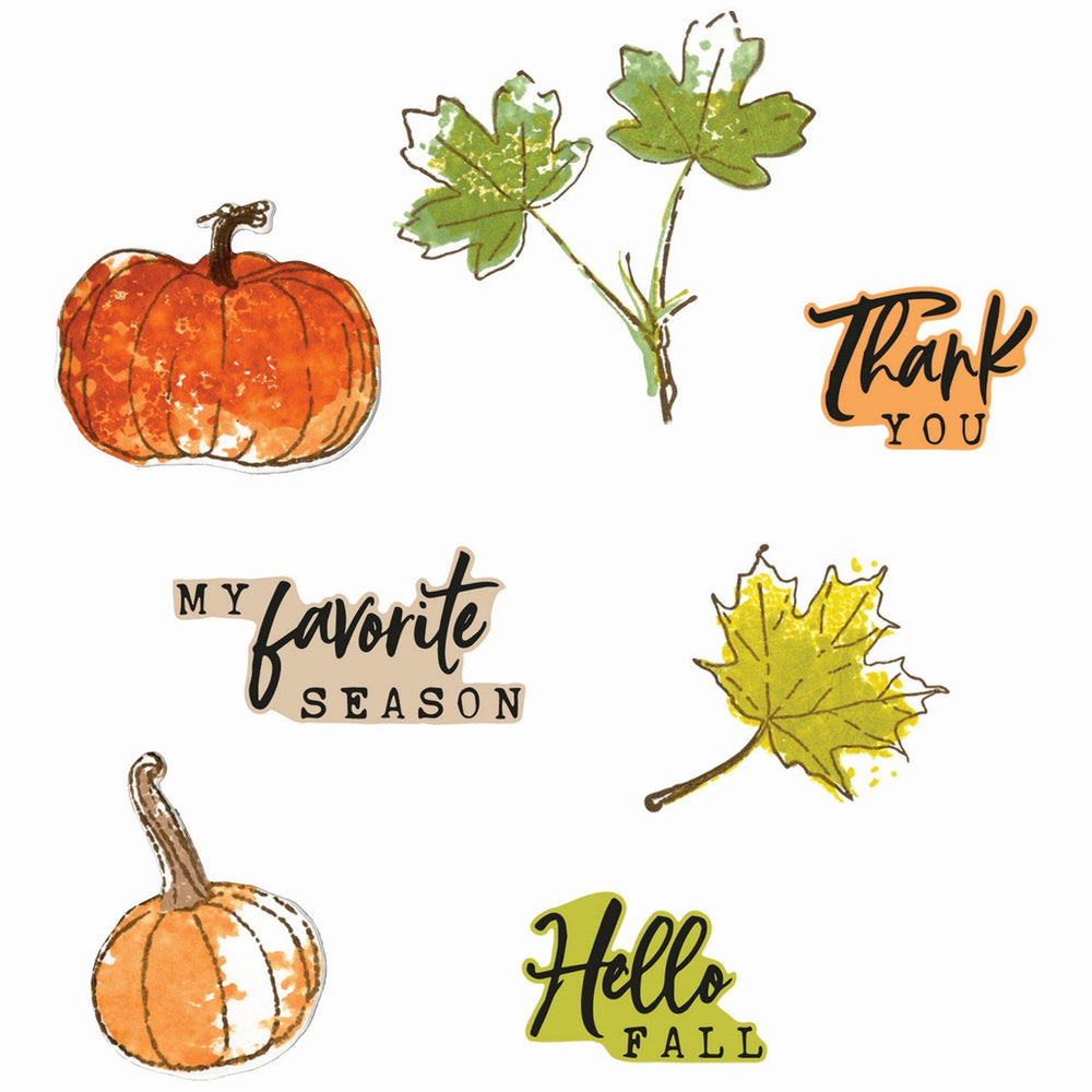 Sizzix • clear stamp set a5 with framelits die pencil line harvest 23pcs
