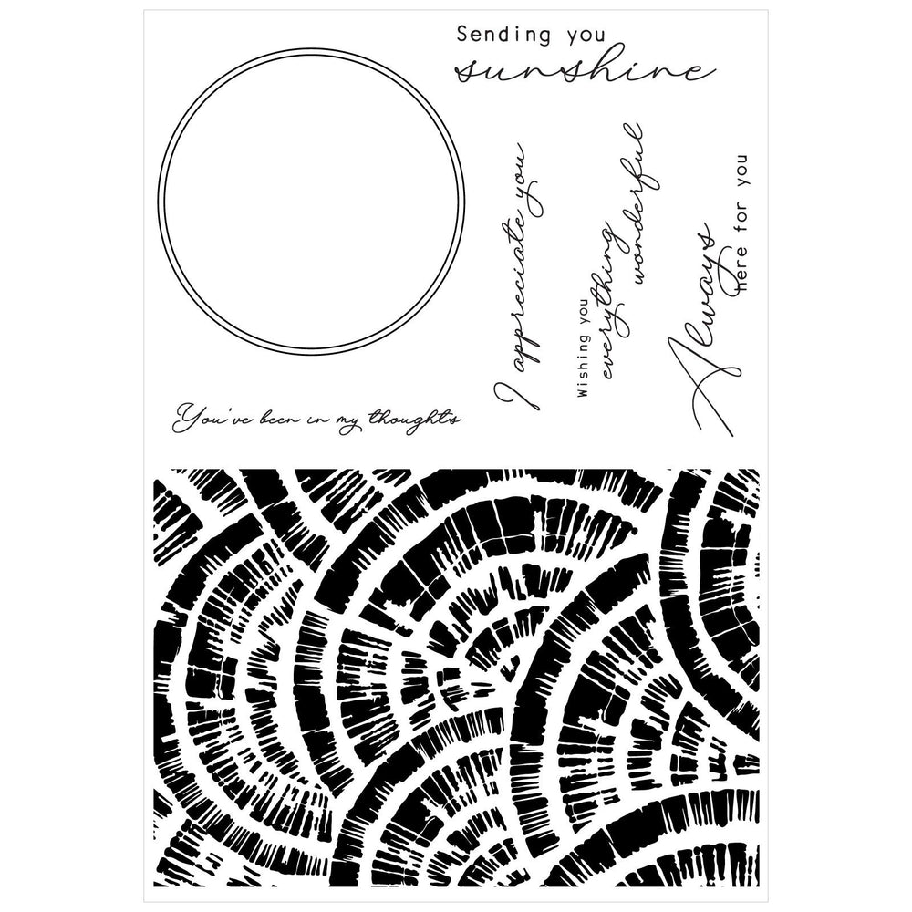 Sizzix • creative coordinations clear stamps with framelits radiance 8pcs