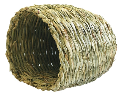 Natuur eerste gelukkige huisdier gras nest