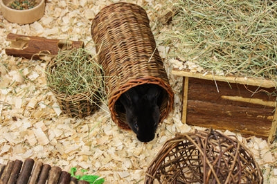 Happy Pet Wilgentunnel