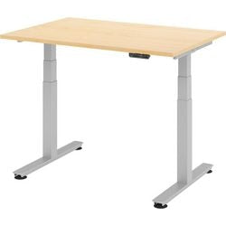 Bach zit-sta bureau hammerer 120x80x127cm zilver ahorn