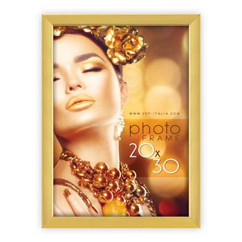 Zep photo frame wt23g wales gold 20x30 cm