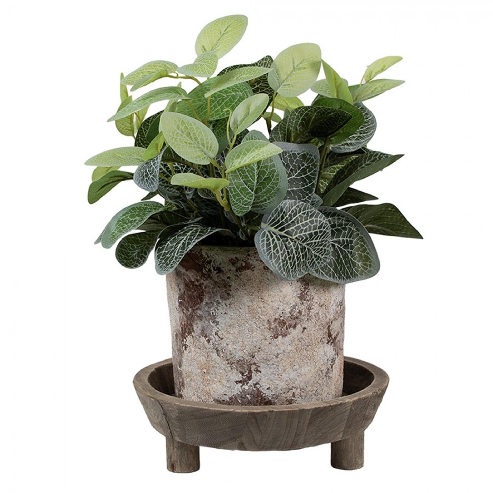 Clayre eef decoratie schaal ø22x7cm