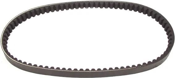 Polini v-snaar verstärkt v-belts verst. 18.5x802 mm