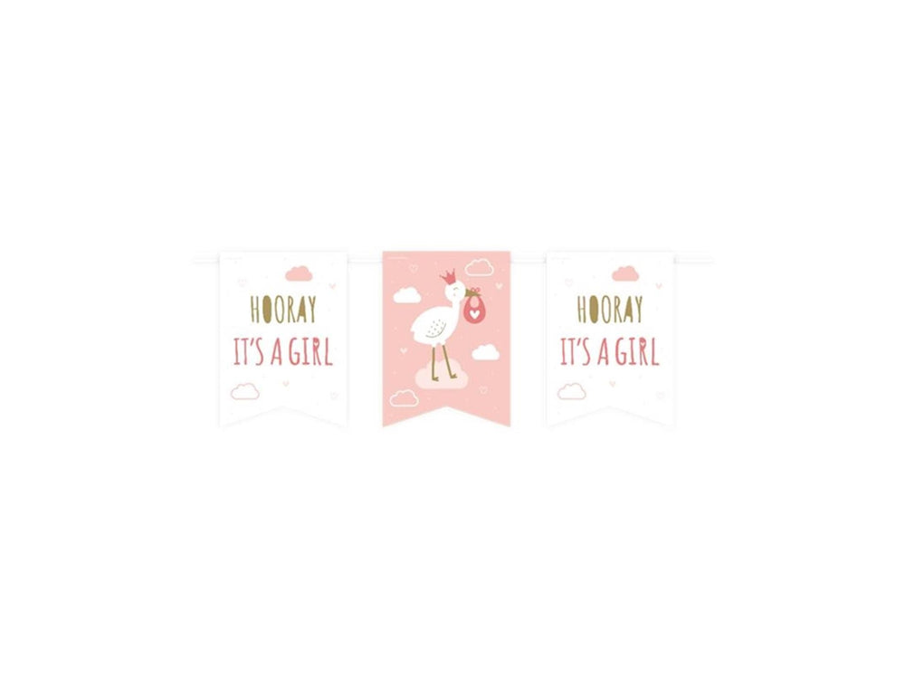 Paperdreams vlag banner - newborn baby girl
