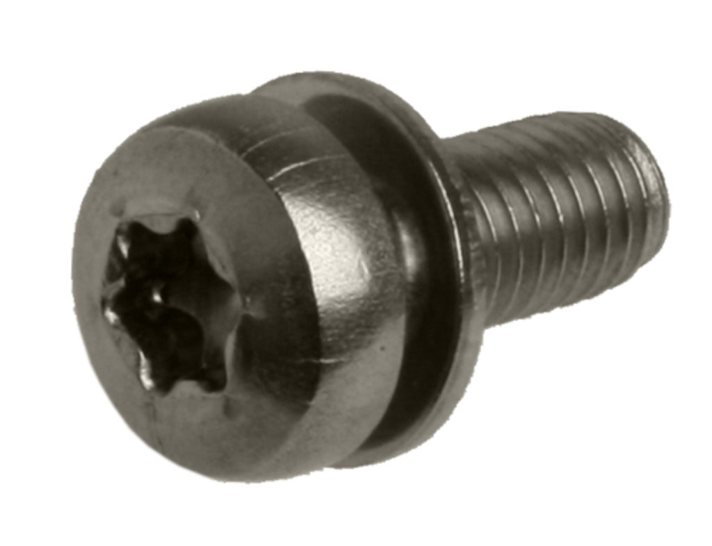 Anp bout m5x12 torx m plaat rvs ds a 25