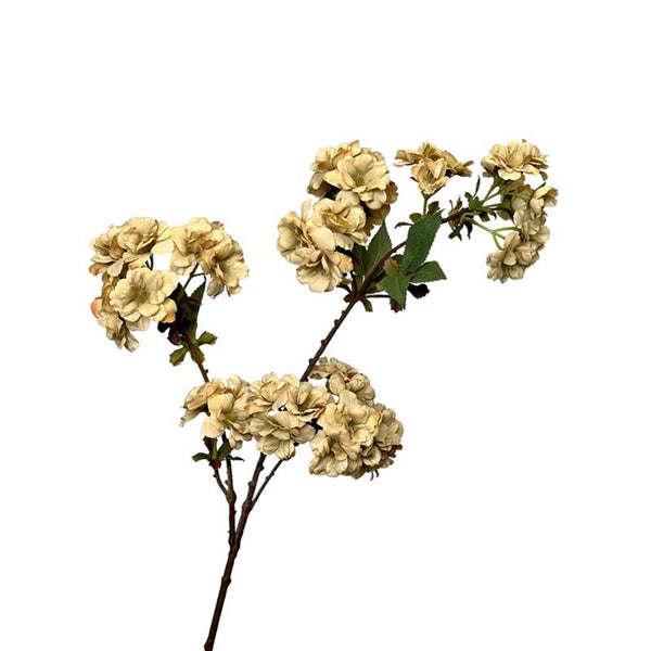 Roberts collection kunstbloem bloesem tak 80cm creme
