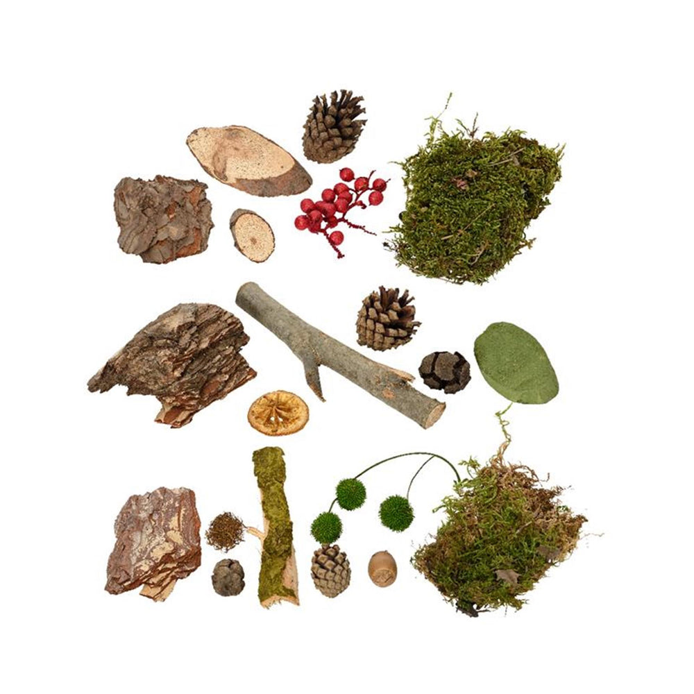 Decoris natuurmix mos berries sinaasappel