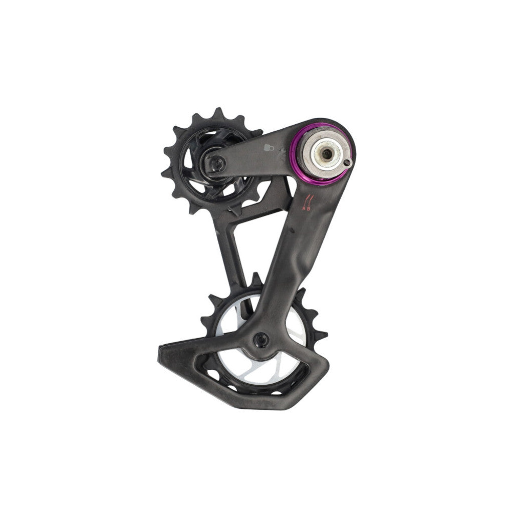 Sram derad xxsl eagle t axs cage kit