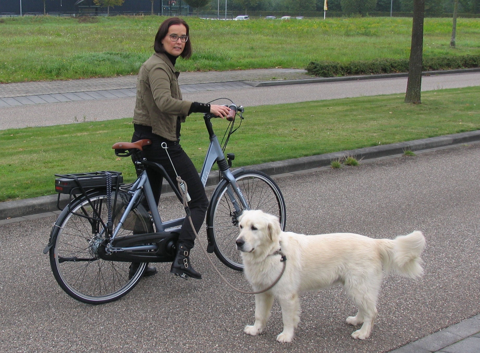 M-wave springer honden-fiets-beugel