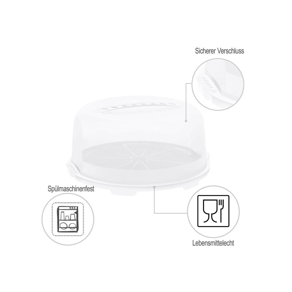 Rotho verse taartdoos hoog maretak groen