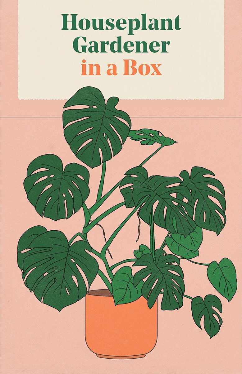 Houseplant gardener in a box