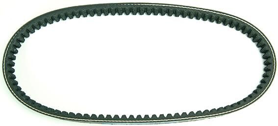 Polini v-snaar versterkt verstärkt v-belts verst. 18x675 mm