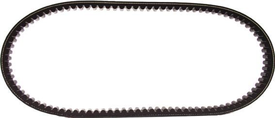 Polini v-snaar versterkt verstärkt v-belts verst. 22x834 mm