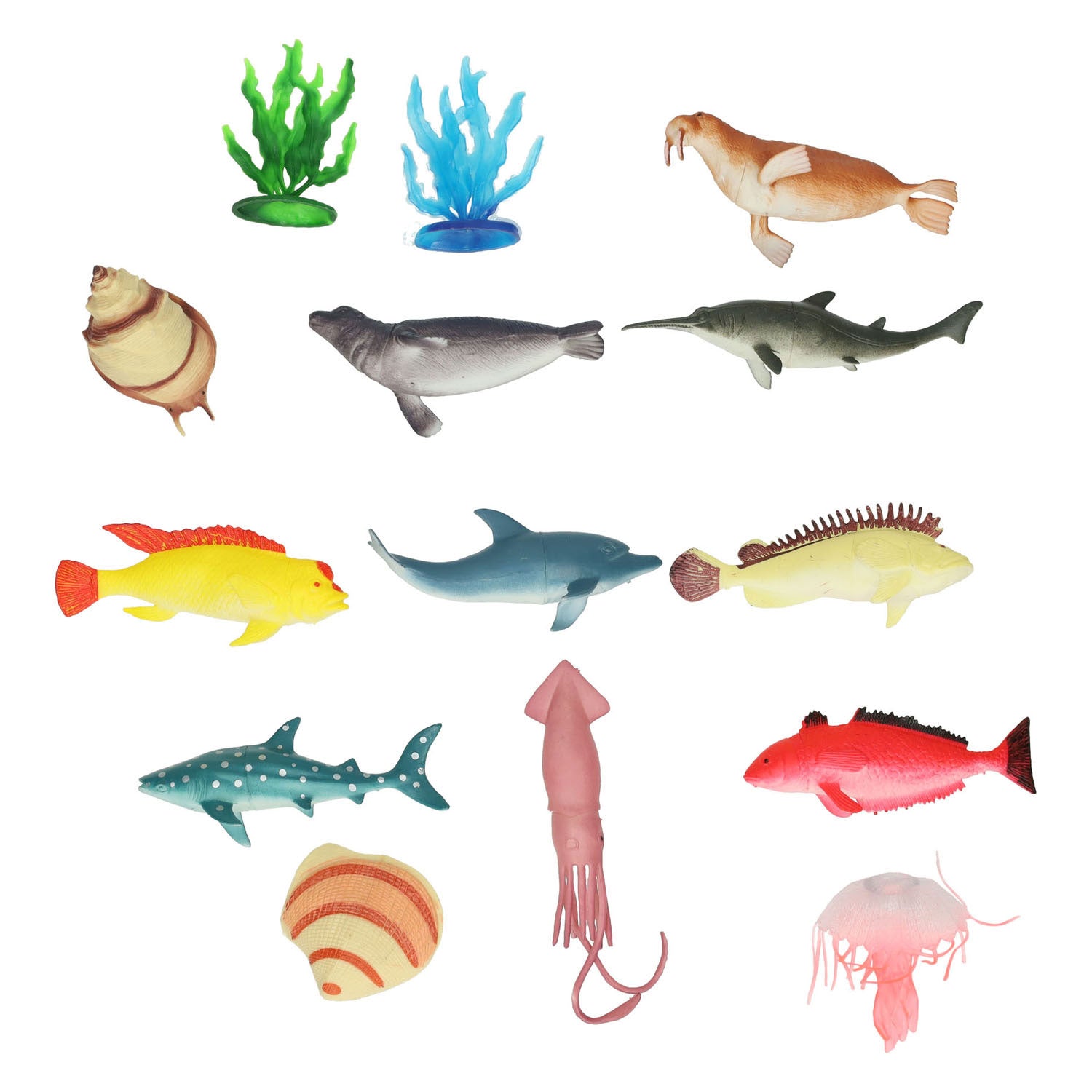 Zeedieren, 11e.