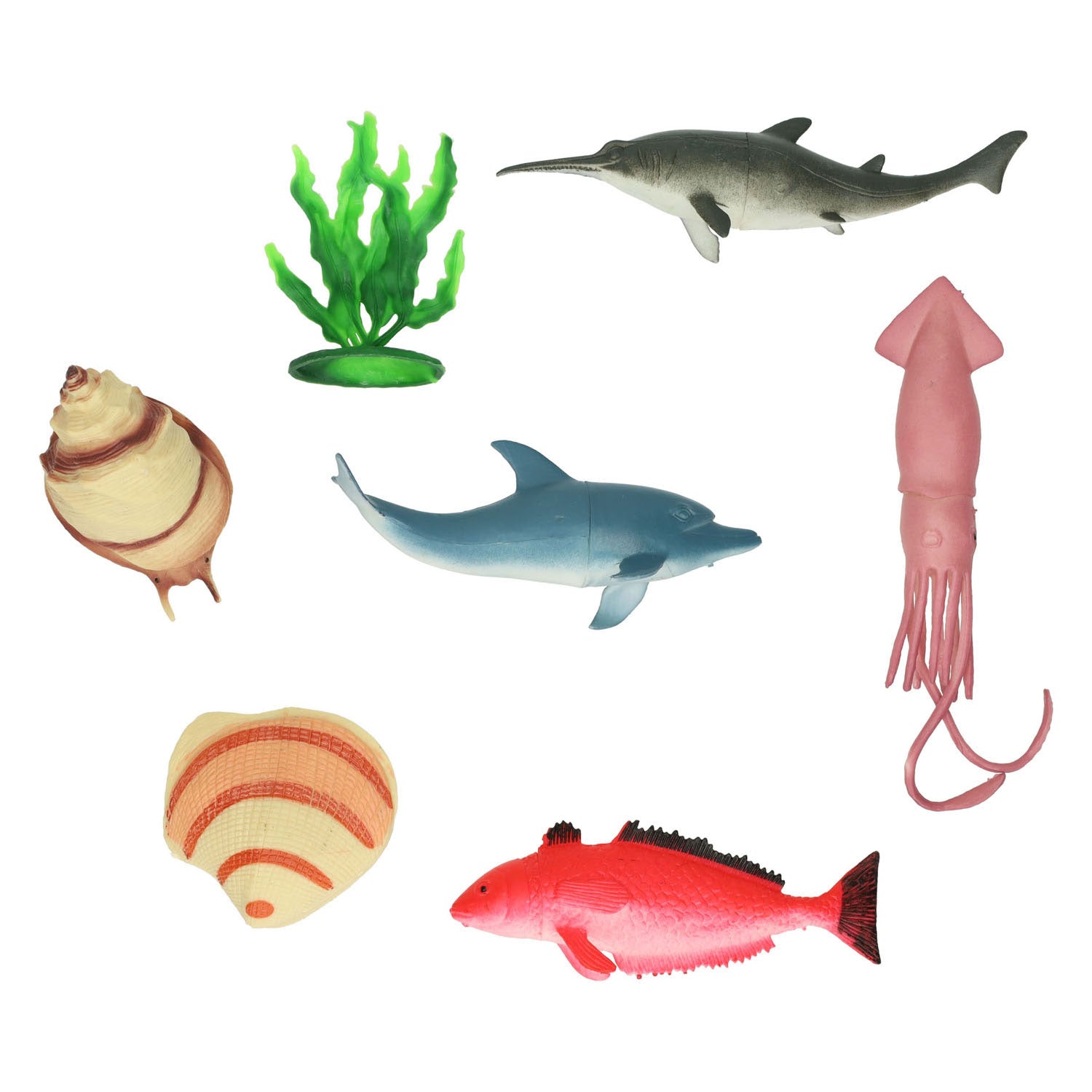 Zeedieren, 11e.