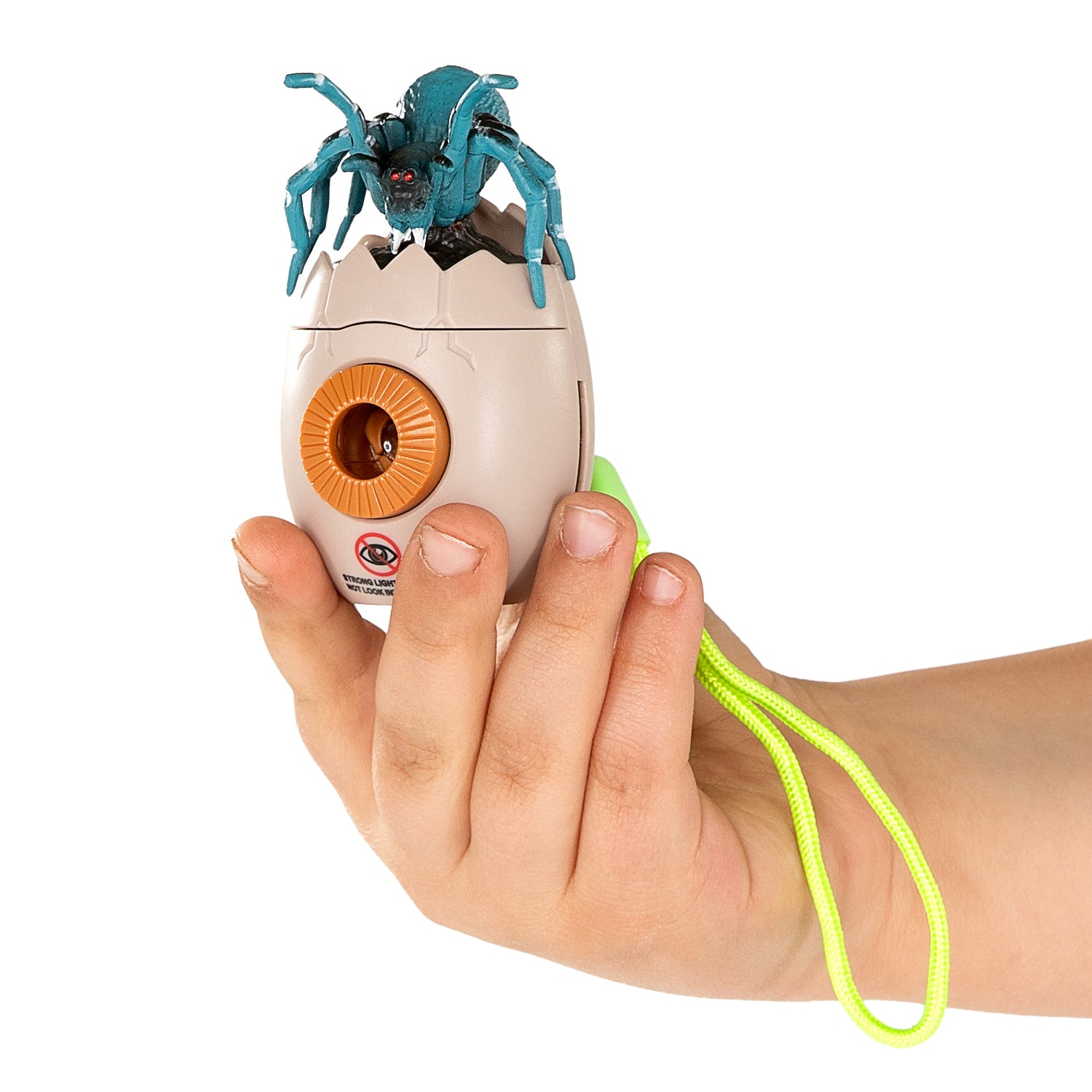 Lobbes insecten projector