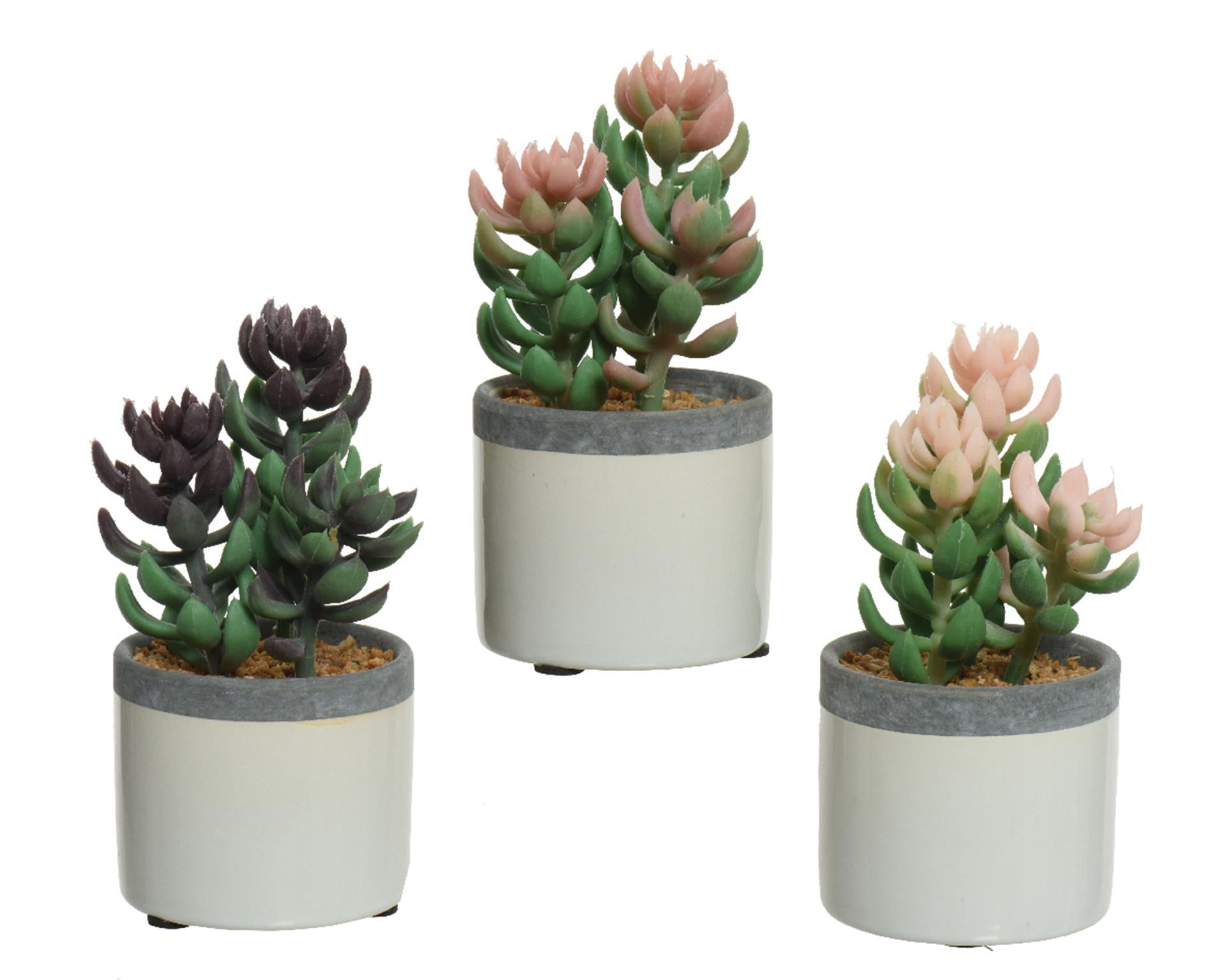 Decoris kunstplant vetplant in pot keramiek h14