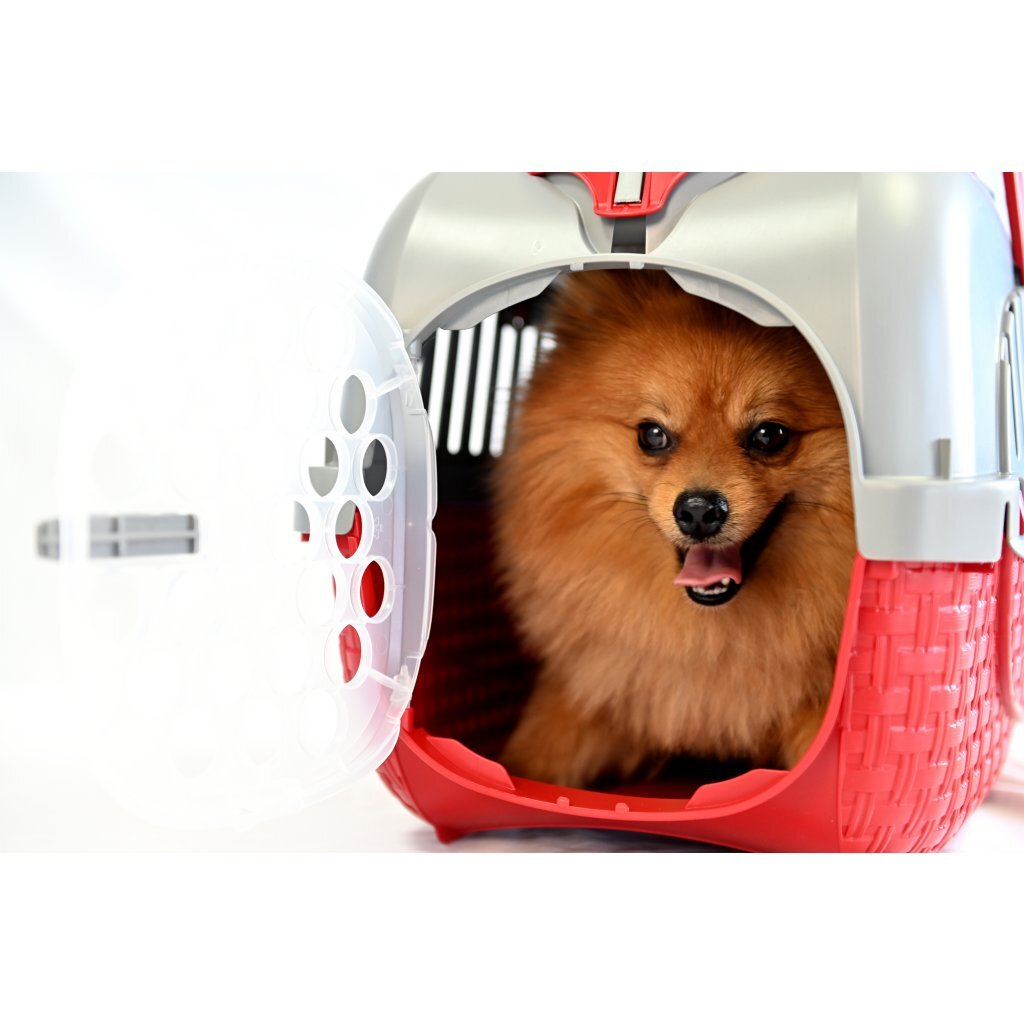 Bama huisdierentransportbox 52x33x34 cm rood zilver