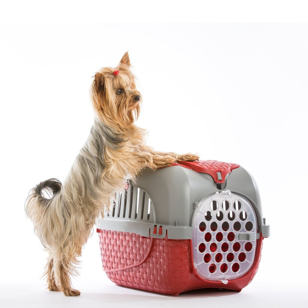 Bama huisdierentransportbox 59x38x37 cm rood zilver