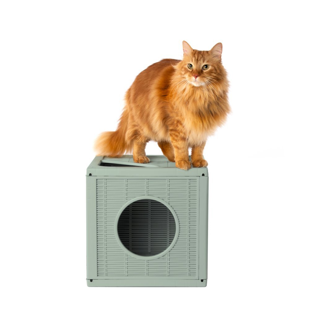 Bama pet qublo katten kubus 35x35x35 cm saliegroen