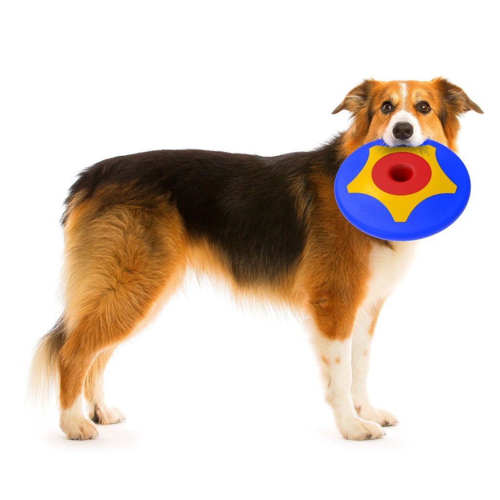 Bama pet trotto disk hondenspeelgoed 24,5x4,5 cm blauw geel rood