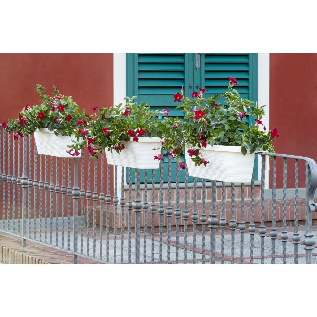 Bama fioriera bloem-balkonbak 60x20x18,5 cm wit