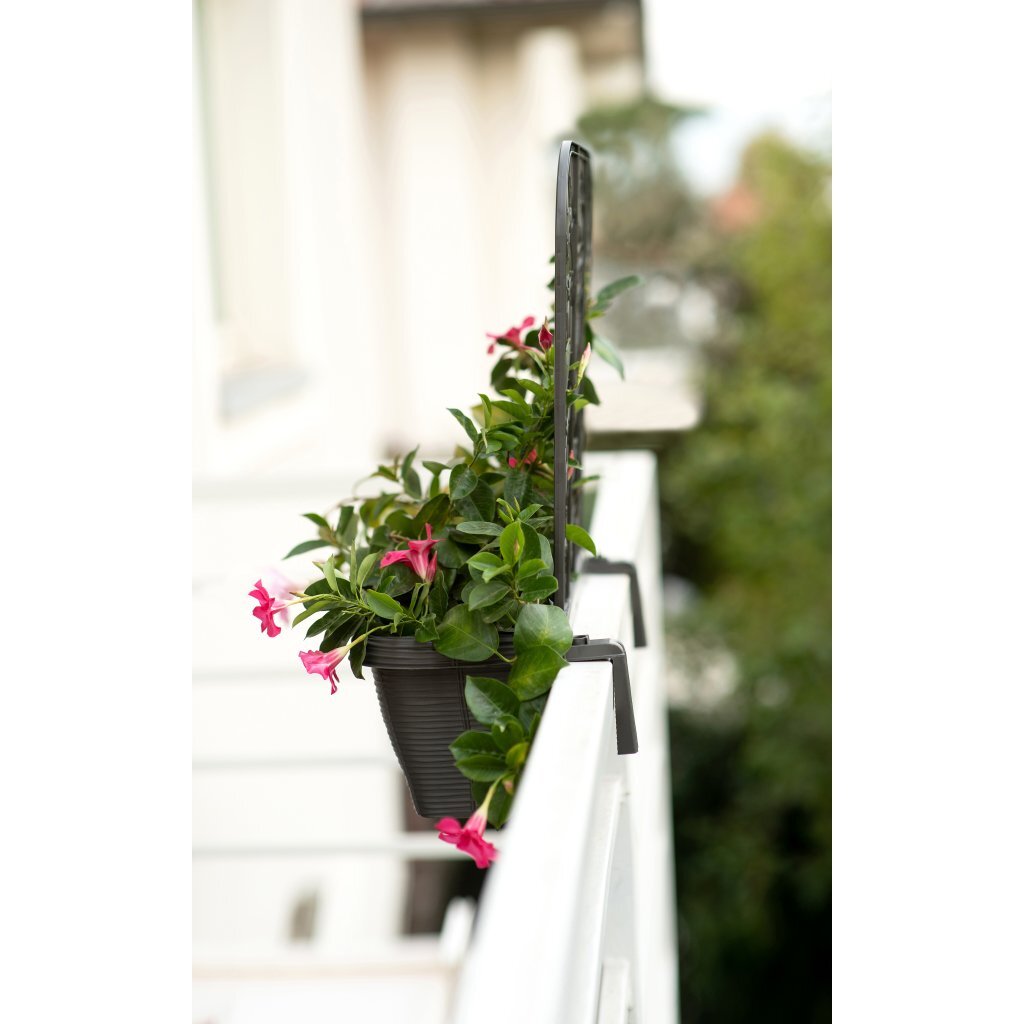 Bama fioriera bloem-balkonbakken privacy 60x22x64 cm 2 stuks antraciet