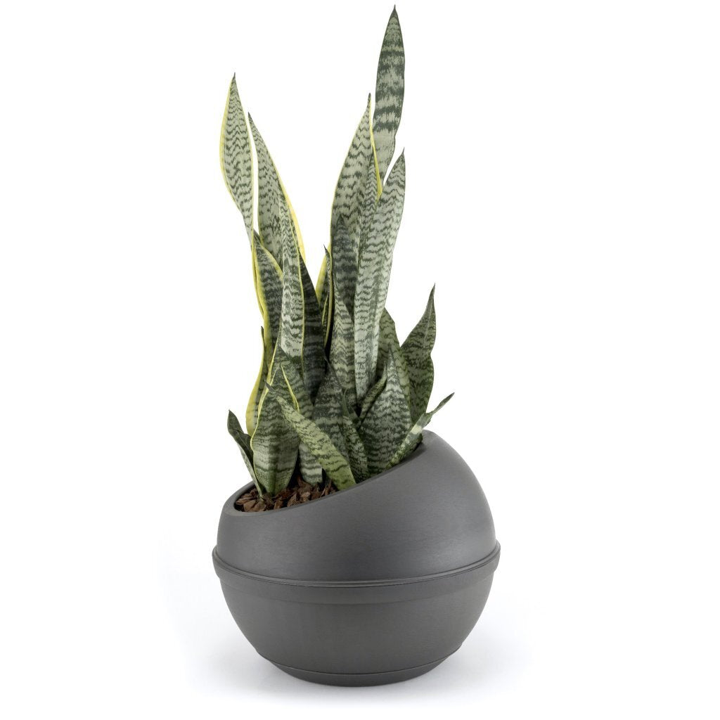 Bama sfera bloempot 23l 40,5x32 cm antraciet