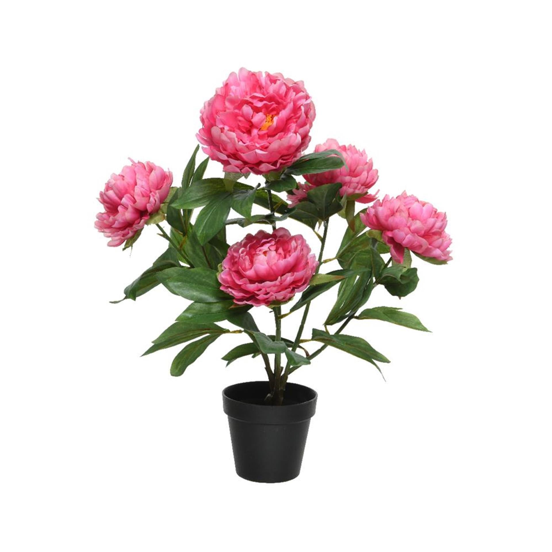 Decoris kunstplant pioenroos h57cm fuchsia
