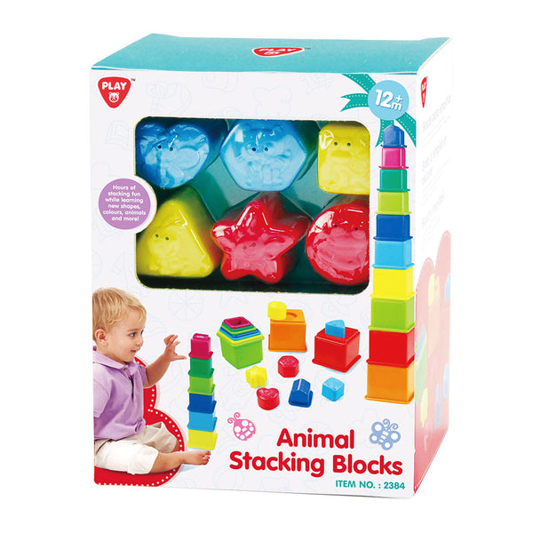 Playgo Sort and Learn Stacking Blocks