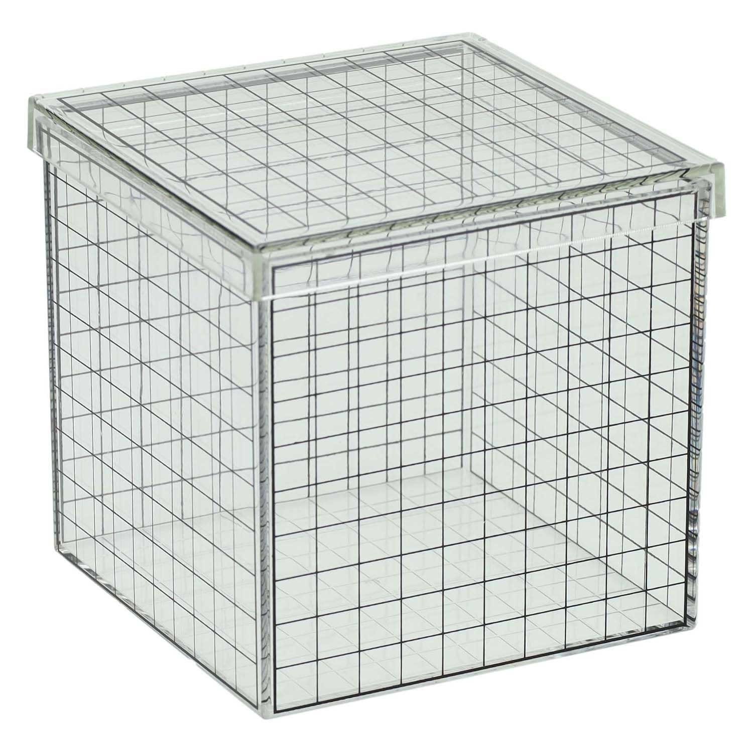 Transparante 3d rasterkubus - 10x10x10 cm
