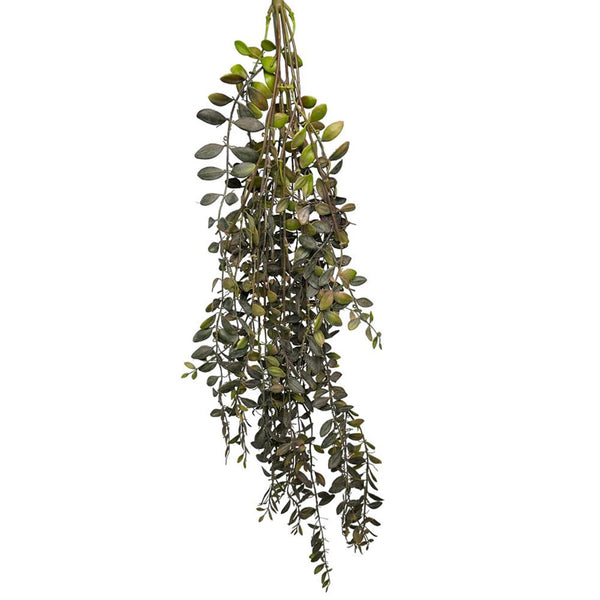 Roberts collection kunst hangplant dischidia bordeaux 100cm