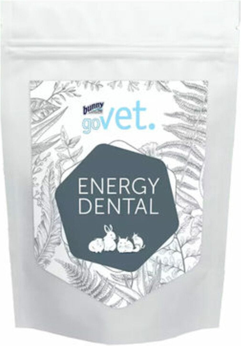 Bunny nature Govet energie tandheelkunde