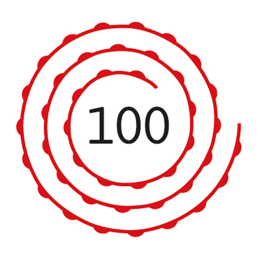 Basispistool 100 schoten