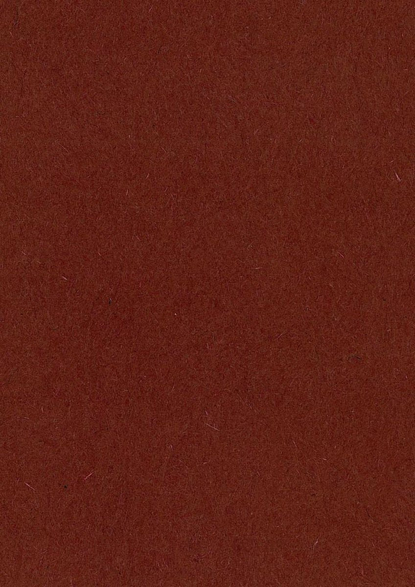 Merkloos sans marque p.500 bruin tekenpapier a4