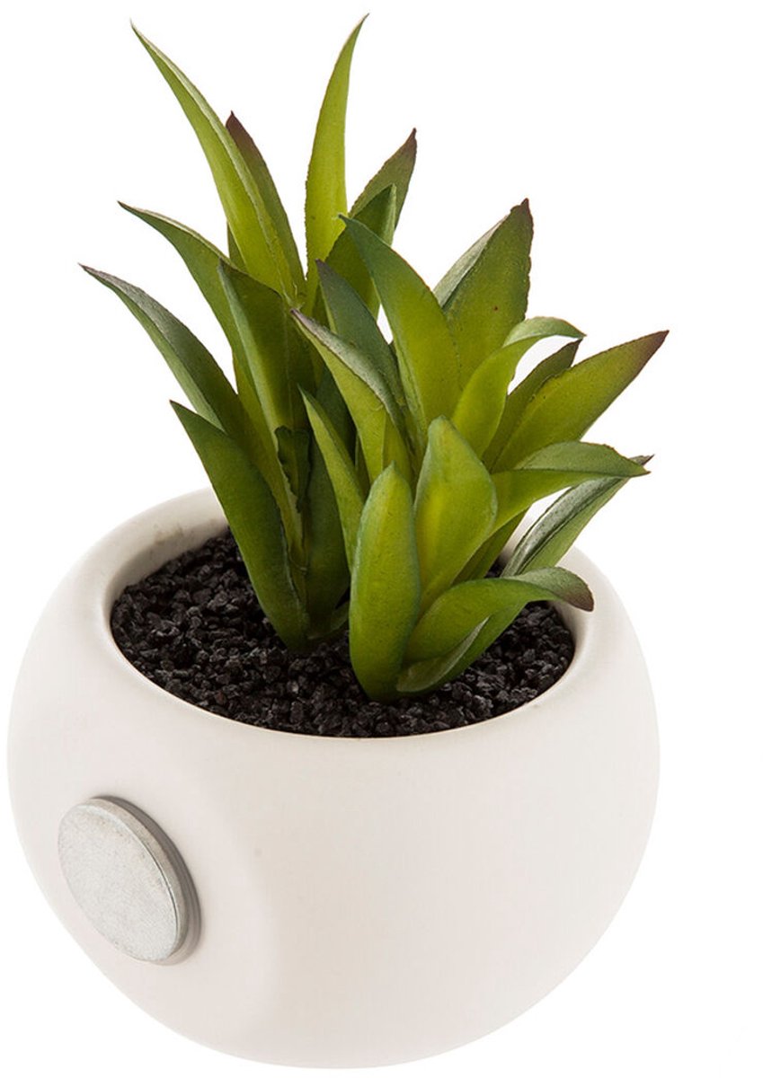 Atmosphera decoratieve plant magneet pvc