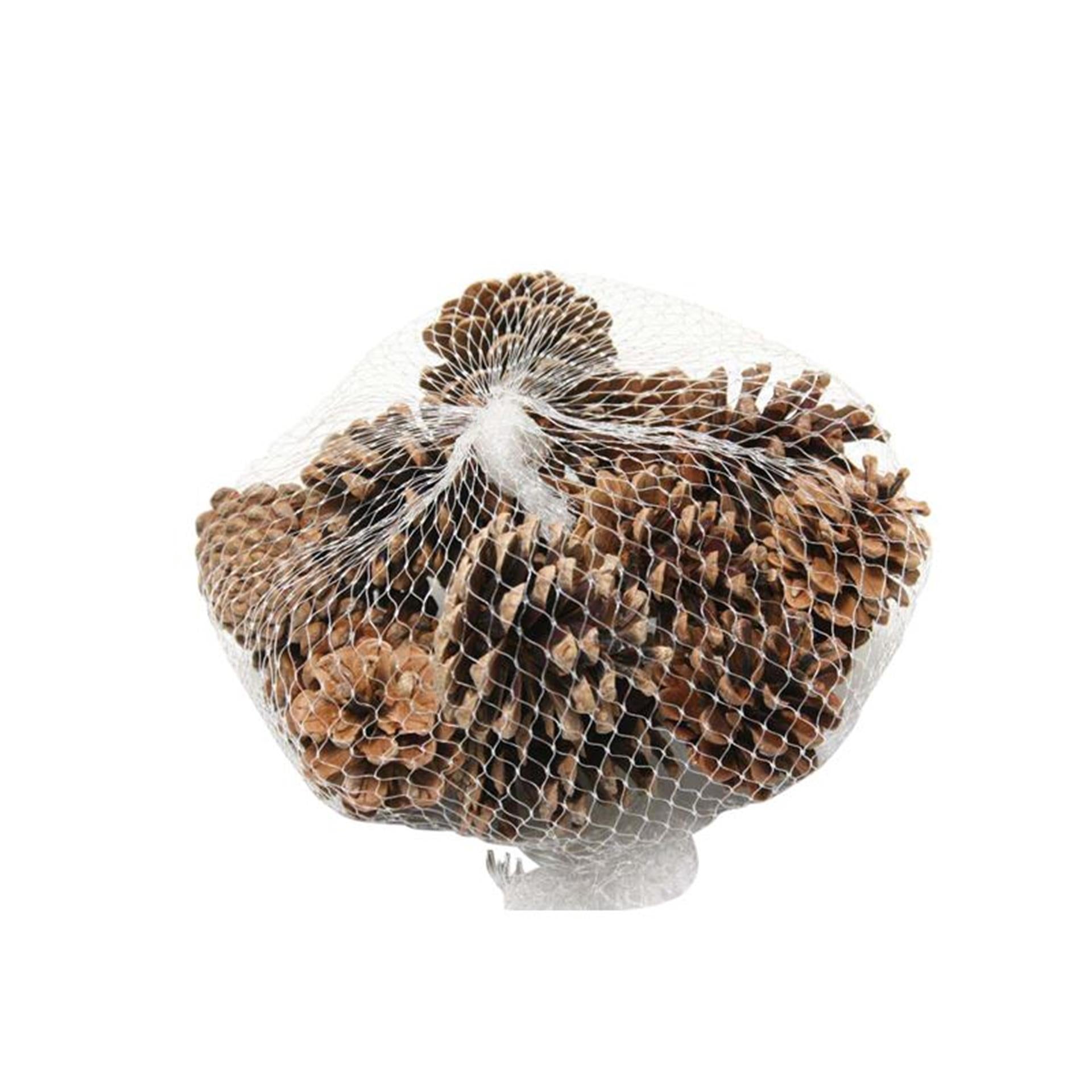 Hbx natural living dennenappels zak a 15 stuks