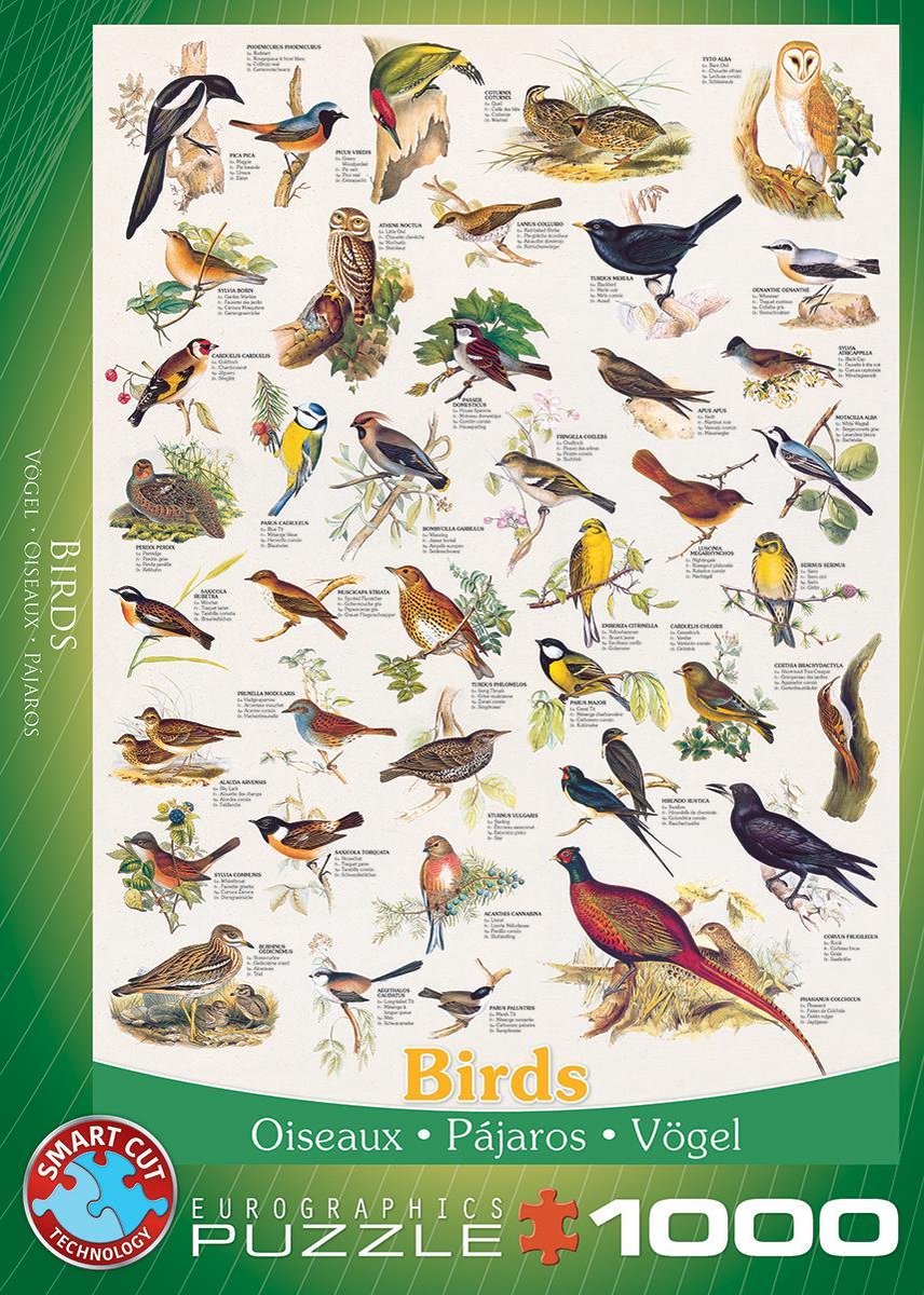 Eurographics - vogels [birds] - 1000 stukjes 48×68cm (b×h) - legpuzzel