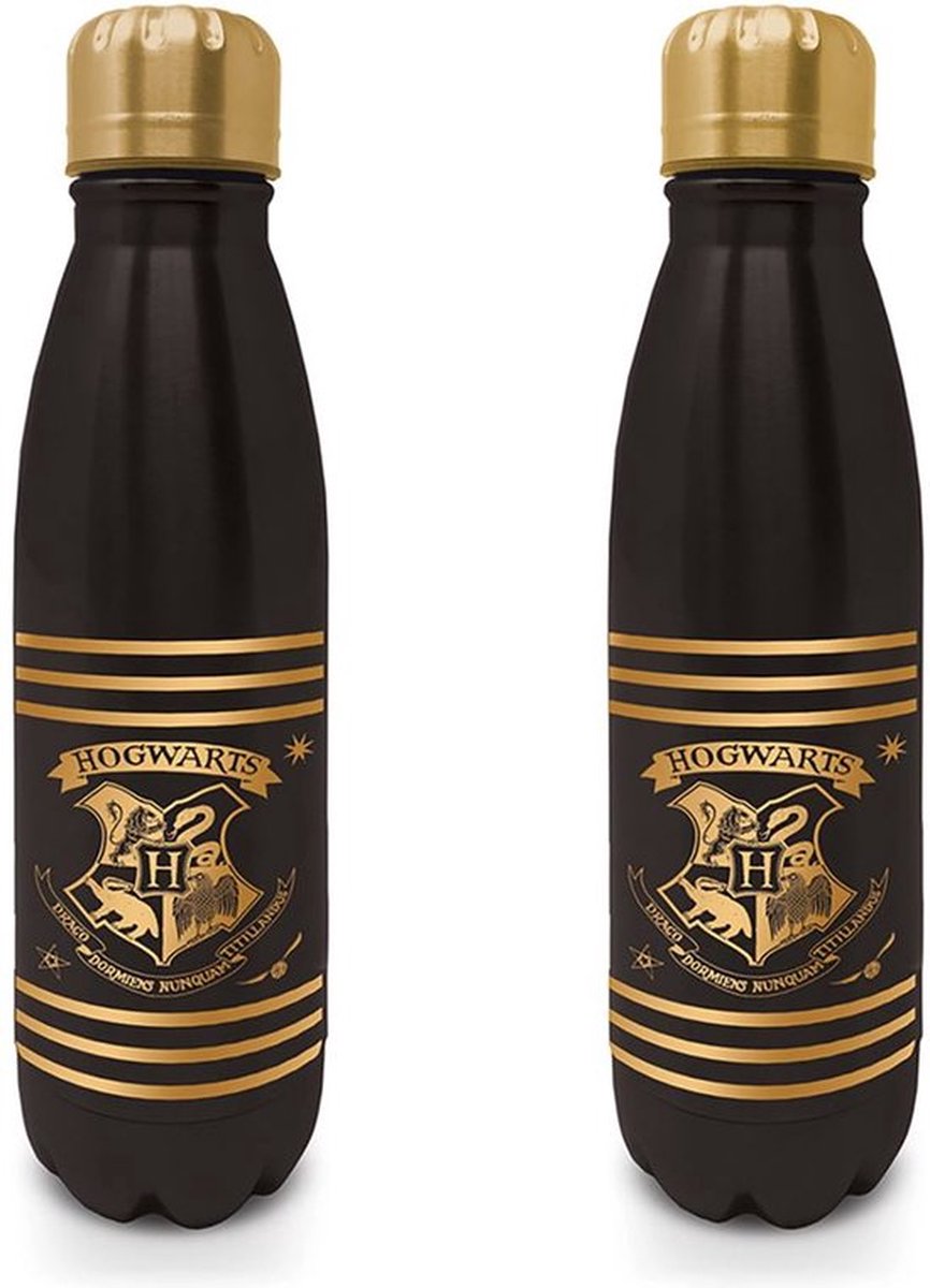 Harry potter - metal drinking bottle