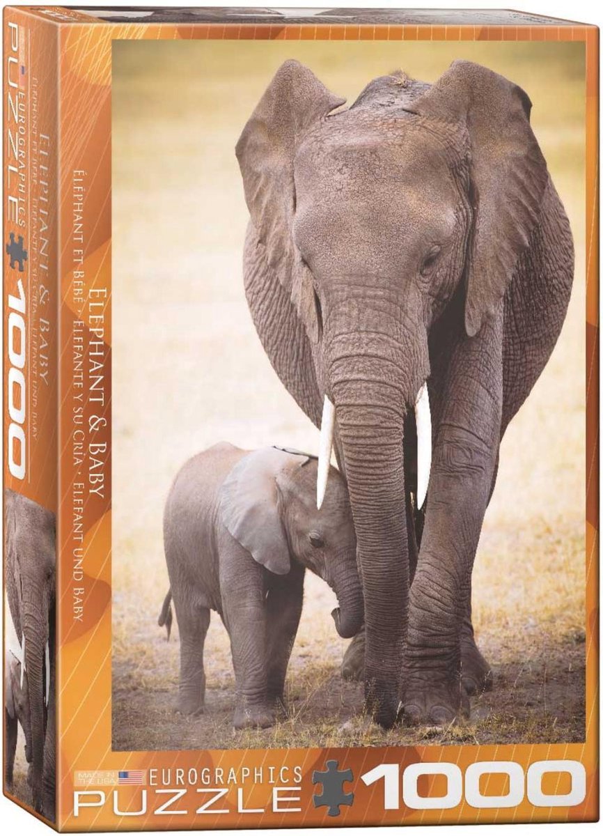 Eurographics - olifant baby [elephant baby] - 1000 stukjes 48×68cm (b×h) - legpuzzel