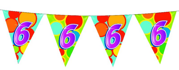 Haza witbaard vlaggenlijn 6 jaar, 10mtr.