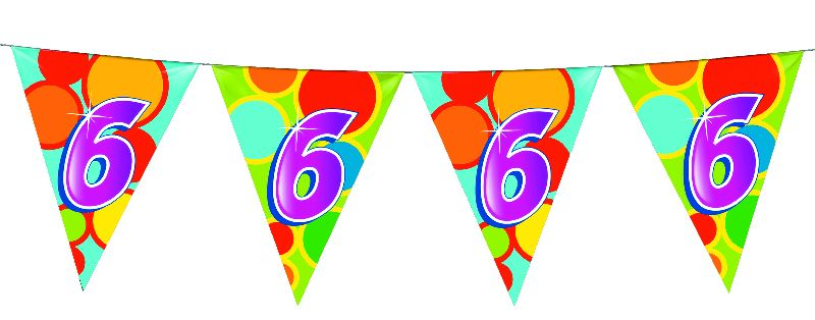 Haza witbaard vlaggenlijn 6 jaar, 10mtr.