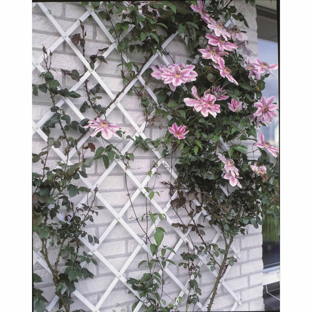 Natuur tuinlatwerk 100x200 cm pvc wit 6040703