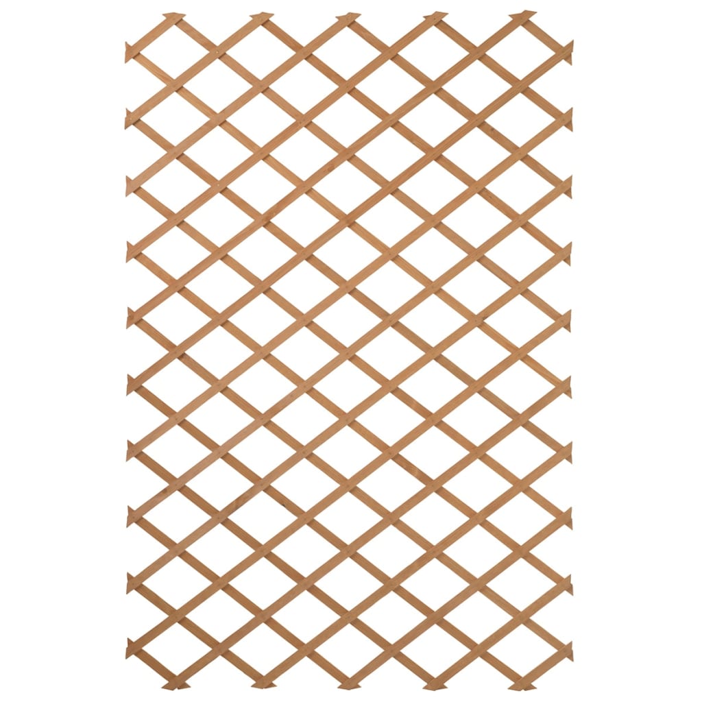 Natuur tuinlatwerk 50x150 cm hout natuurlijk