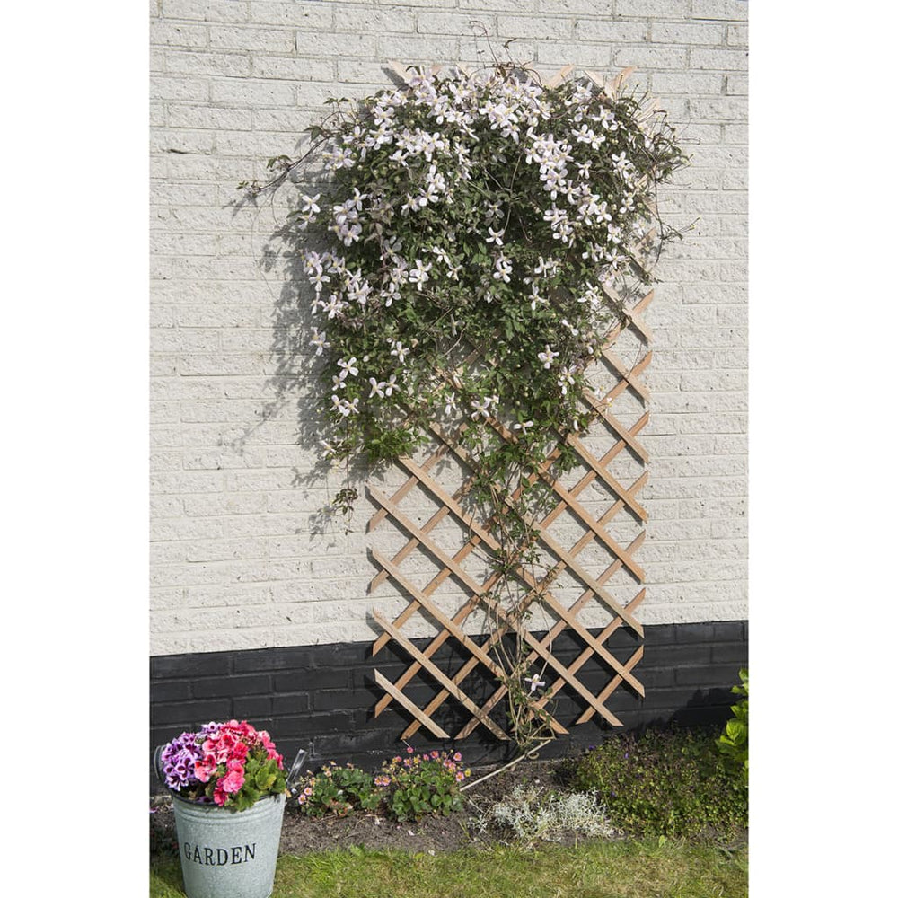 Natuur tuinlatwerk 50x150 cm hout natuurlijk