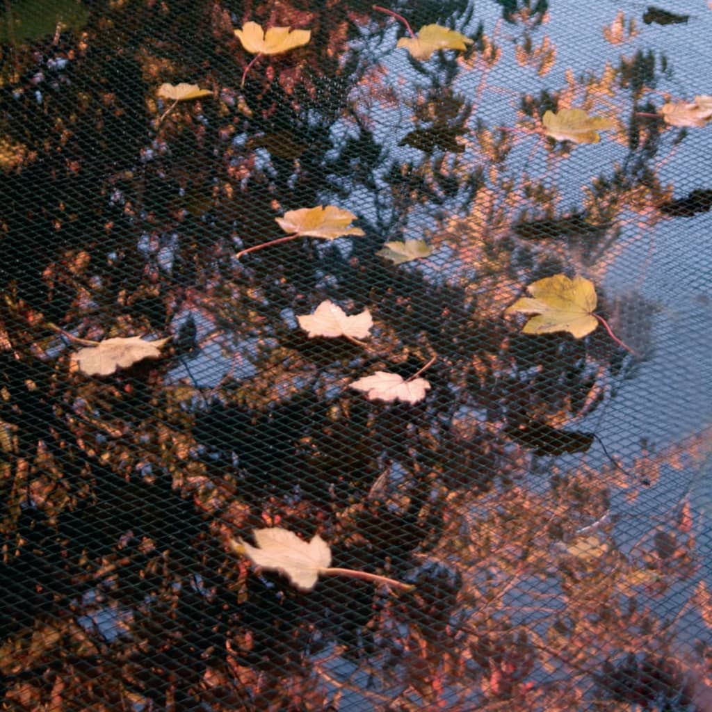 Ubbink vijvernet pe 5x6m 1064345