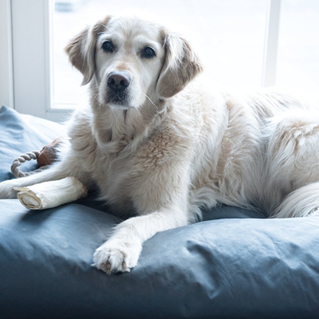 Hg alle geurtjes weg 0,5l