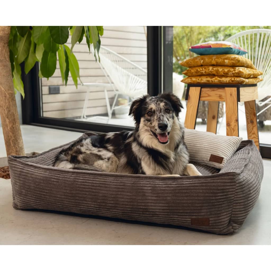 Ontworpen door Lotte Ontworpen door Lotte Hondenmand geribbeld 65x60x20 cm bruin
