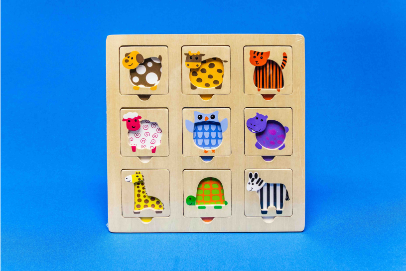Inlegpuzzel hout dieren kleuren 25x25 cm